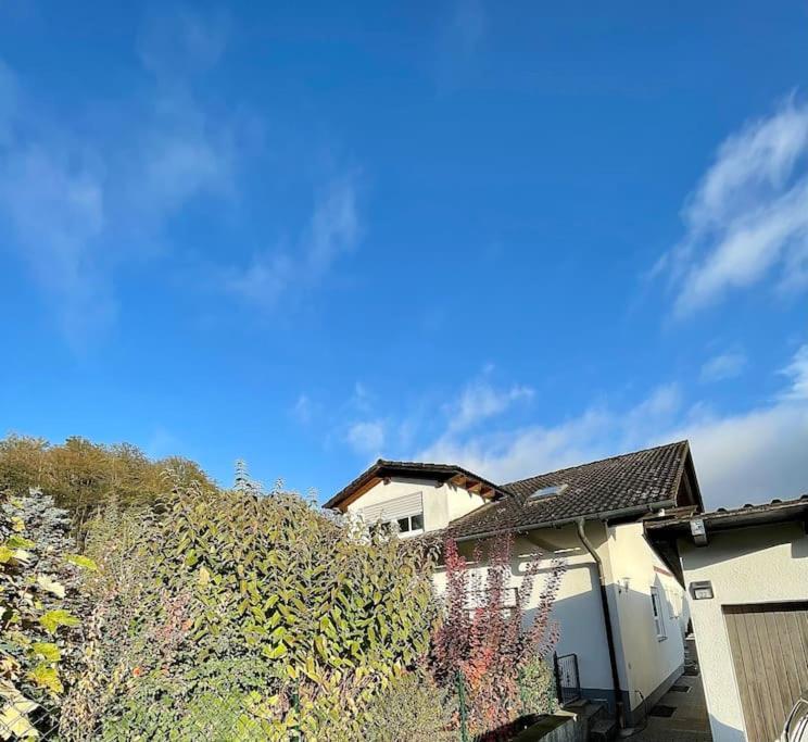 Modernes Apartment Mit Top Ausstattung Und Kamin Im Oberpfaelzer Seenland Nittenau Exterior photo